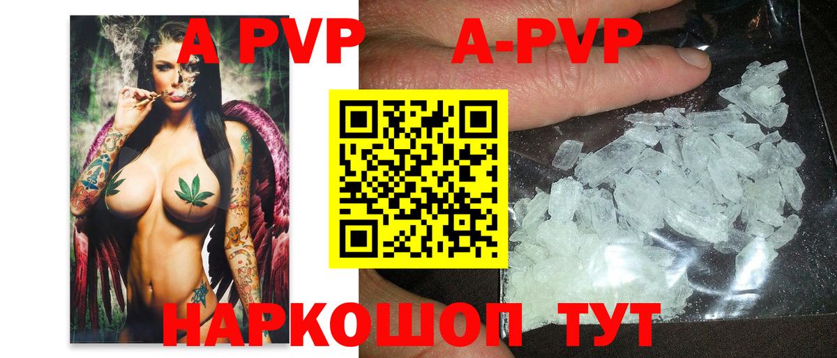 A-PVP СК КРИС Светлоград