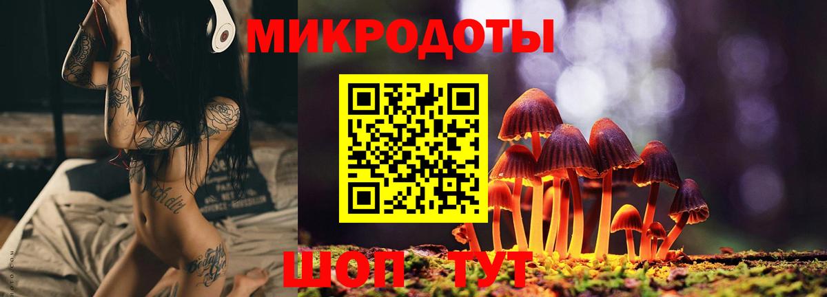 Псилоцибиновые грибы мухоморы  Вход с VPN  Светлоград  Галлюциногенные грибы Psilocybe 