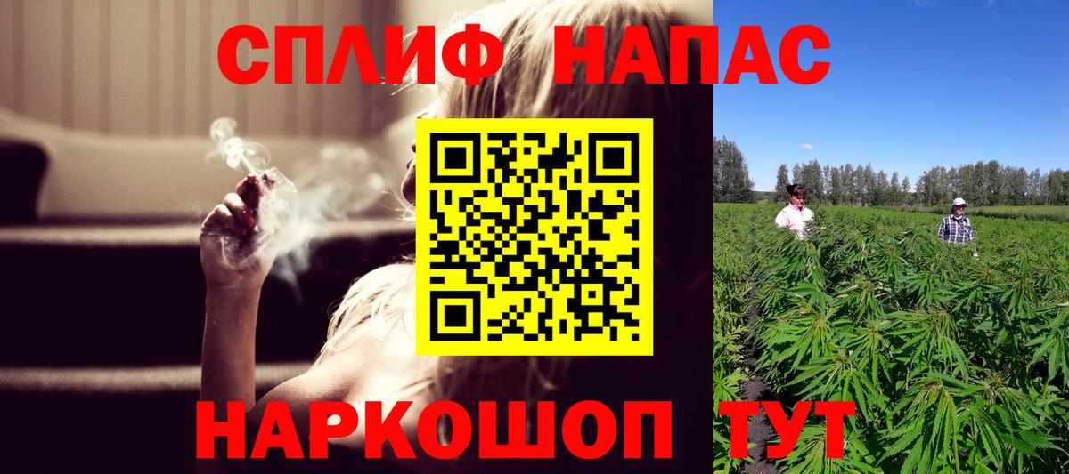 Марихуана тримм  Вход с VPN  Конопля марихуана  МАРИХУАНА ГИДРОПОН  Светлоград 